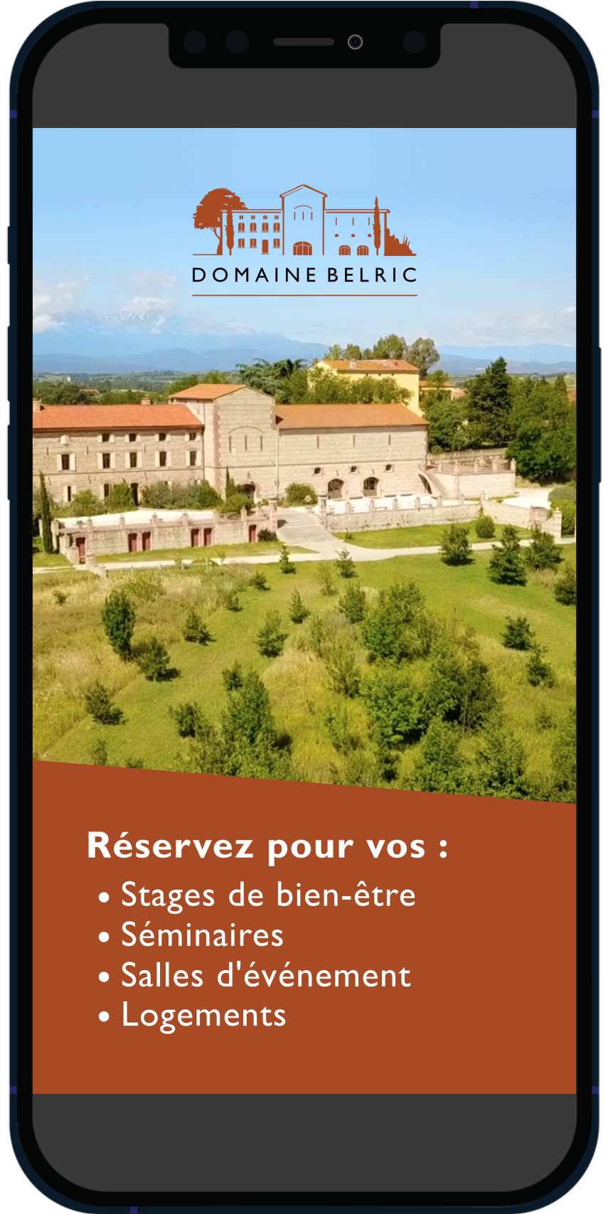 iphone_reseaux_sociaux_agence_e-reputation.png